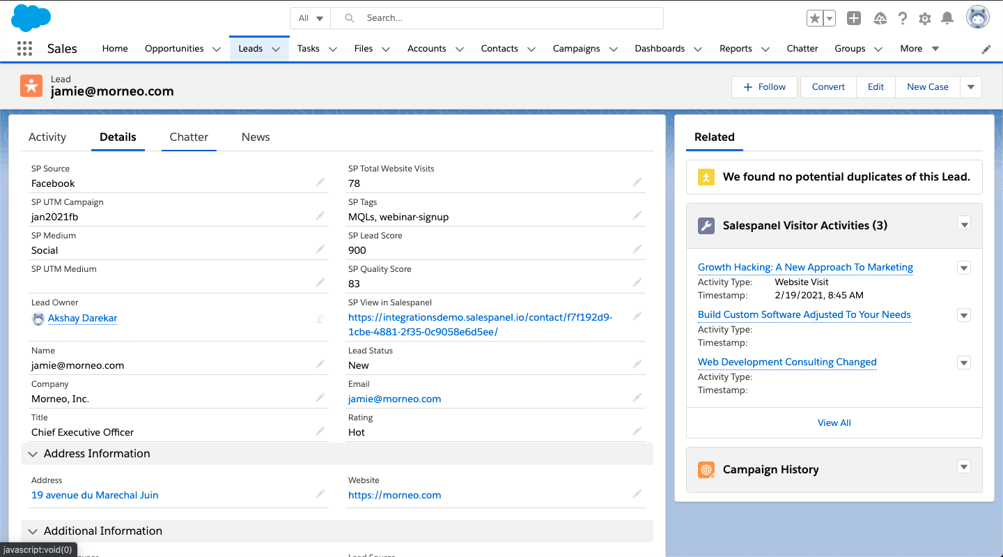 Salesforce lead detail view with Salespanel data